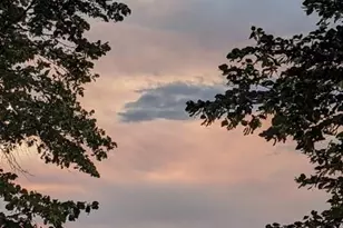 437 Wright St, Lakewood, CO 80228 - Photo 35