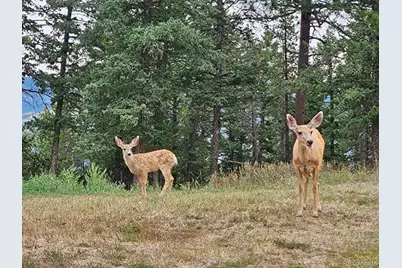 31793 Highway 72, Golden, CO 80403 - Photo 27