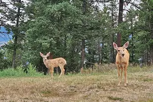 31793 Hwy 72, Golden, CO 80403 - Photo 27