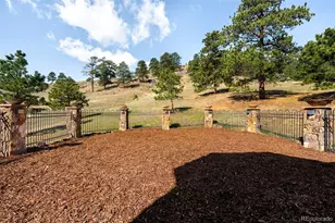 27927 Meadowlark Dr, Golden, CO 80401 - Photo 37