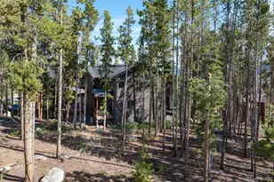 764 Elk Trail, Winter Park, CO 80482 - Photo 43