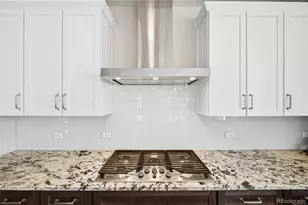 10867 McHarg Ct, Parker, CO 80134 - Photo 9