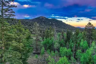 274 Folsom Dr, Como, CO 80432 - Photo 33