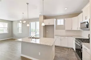 18774 E 99th Ave, Commerce City, CO 80022 - Photo 9