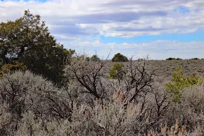 Lot 16 Gold Hawk, San Luis, CO 81152 - Photo 17