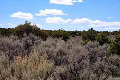 Lot 16 Gold Hawk, San Luis, CO 81152 - Photo 11