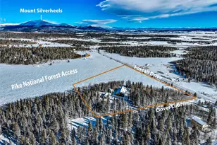 43 Clover Ct, Fairplay, CO 80440 - Photo 15