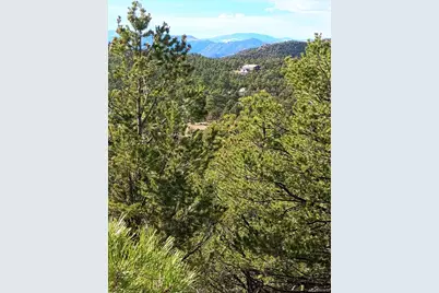 1105 Owens Lane, Cotopaxi, CO 81223 - Photo 5