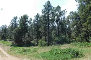4480 Delaware Dr, Larkspur, CO 80118 - Photo 1