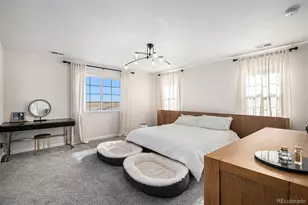 7338 S Yantley Wy, Aurora, CO 80016 - Photo 11