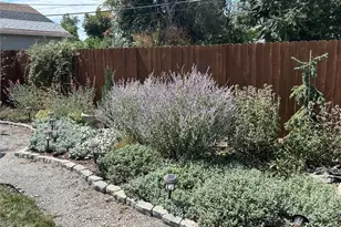 923 Geneva St, Aurora, CO 80010 - Photo 19