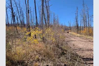 1708 Burgoyne Loop, Fort Garland, CO 81133 - Photo 7