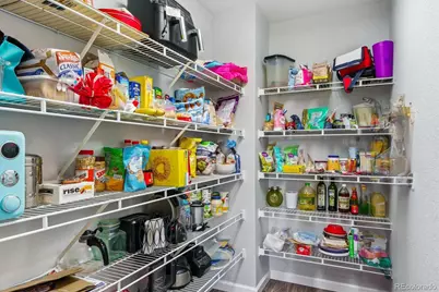 2307 Candleglow Street, Castle Rock, CO 80109 - Photo 19