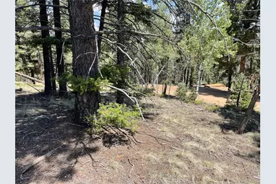 971 Spring Valley Lane, Florissant, CO 80816 - Photo 5
