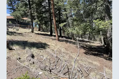 971 Spring Valley Lane, Florissant, CO 80816 - Photo 7