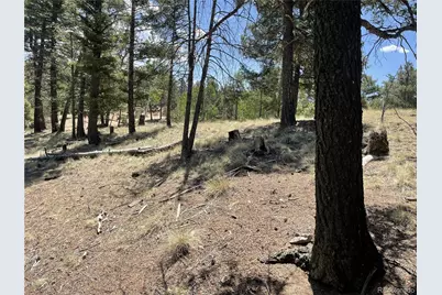 971 Spring Valley Lane, Florissant, CO 80816 - Photo 1