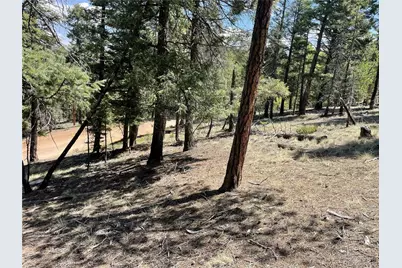 971 Spring Valley Lane, Florissant, CO 80816 - Photo 11