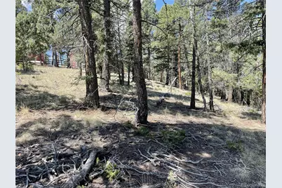 971 Spring Valley Lane, Florissant, CO 80816 - Photo 3