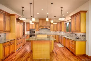 9677 Sara Gulch Cir, Parker, CO 80138 - Photo 19