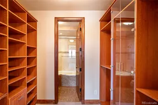 9677 Sara Gulch Cir, Parker, CO 80138 - Photo 45