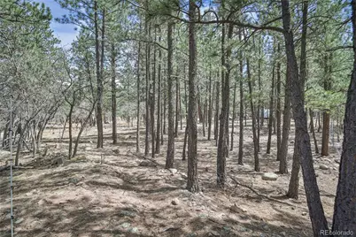 Stonewall Meadows Road, Weston, CO 81091 - Photo 19