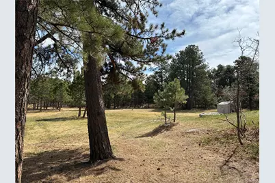 15632 Ray Drive, Larkspur, CO 80118 - Photo 3