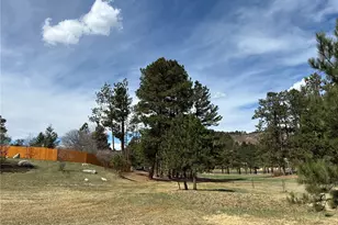 15632 Ray Dr, Larkspur, CO 80118 - Photo 5