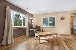 15632 Ray Dr, Larkspur, CO 80118 - Photo 19