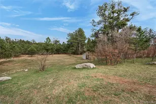 15632 Ray Dr, Larkspur, CO 80118 - Photo 5