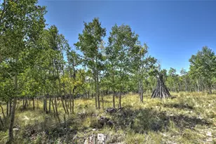 74 Noxibee Ct, Como, CO 80432 - Photo 23