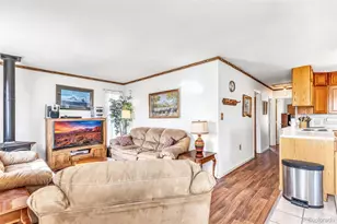 1150 Castello Ave, Fairplay, CO 80440 - Photo 27