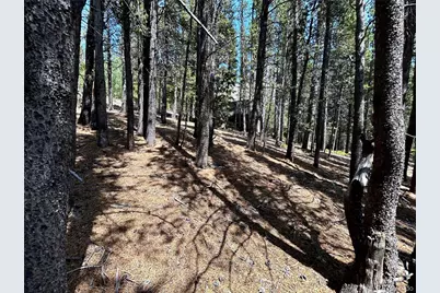 230 Harris Drive, Idaho Springs, CO 80452 - Photo 11