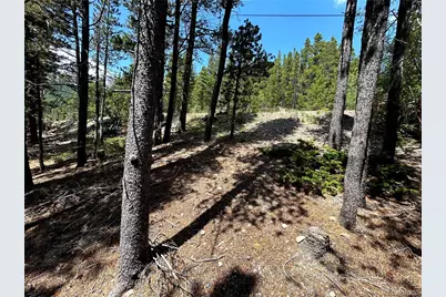 230 Harris Drive, Idaho Springs, CO 80452 - Photo 9