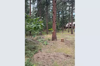 5028 Crow Drive, Larkspur, CO 80118 - Photo 3