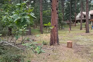 5028 Crow Dr, Larkspur, CO 80118 - Photo 3