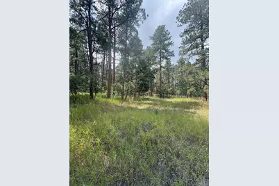 5028 Crow Drive, Larkspur, CO 80118 - Photo 5