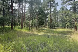 5028 Crow Dr, Larkspur, CO 80118 - Photo 5