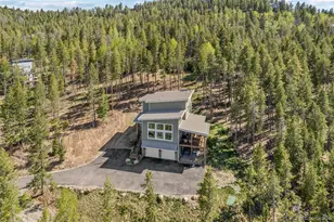 6783 Snowshoe Trail, Evergreen, CO 80439 - Photo 45