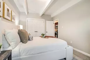 590 N Logan Street, Denver, CO 80203 - Photo 23