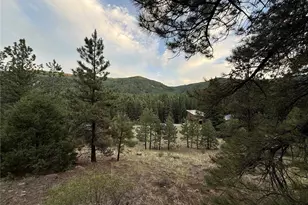 2 Beaver Trail, Antonito, CO 81120 - Photo 1
