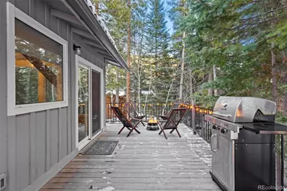 14 Moss, Dumont, CO 80436 - Photo 23