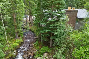 14 Moss, Dumont, CO 80436 - Photo 3