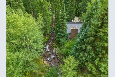 14 Moss, Dumont, CO 80436 - Photo 29