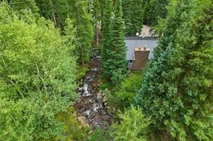 14 Moss, Dumont, CO 80436 - Photo 29