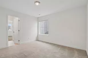8178 Mount Kataka St, Littleton, CO 80125 - Photo 29