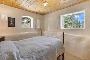 3153 Homestake Pl, Florissant, CO 80816 - Photo 13