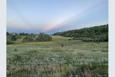 3153 Homestake Place, Florissant, CO 80816 - Photo 29