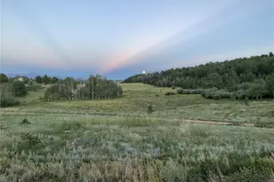 3153 Homestake Pl, Florissant, CO 80816 - Photo 29
