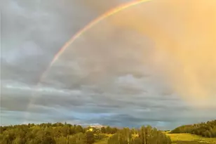 3153 Homestake Pl, Florissant, CO 80816 - Photo 9