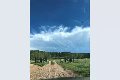 3153 Homestake Place, Florissant, CO 80816 - Photo 33